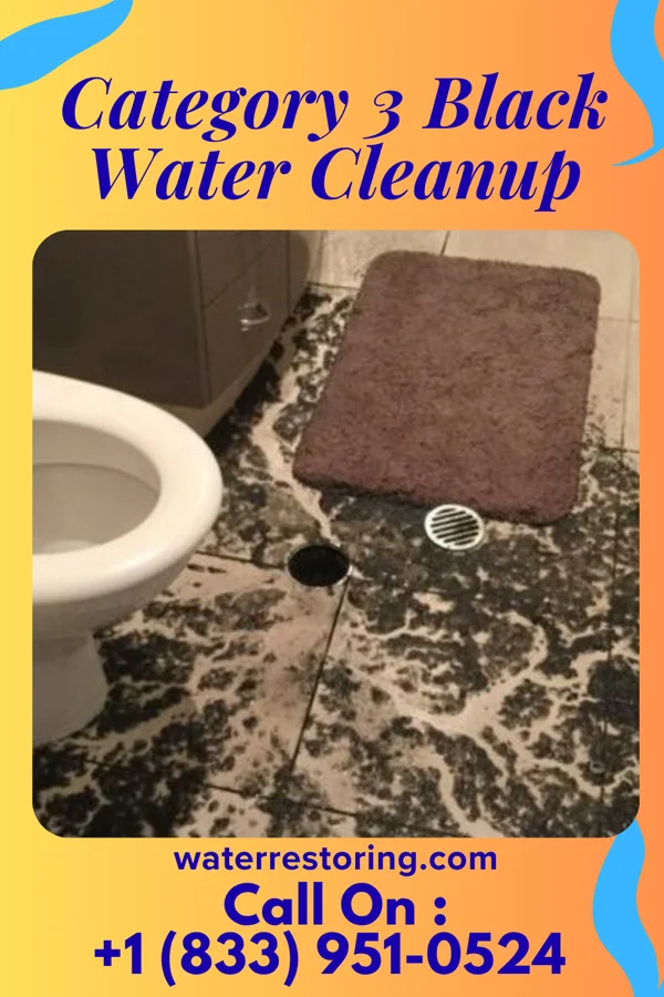 Category 3 Black Water Cleanup in Ranchitos Las Lomas, TX