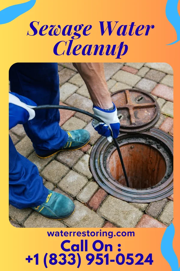 Sewage Water Cleanup in Ranchitos Las Lomas, TX