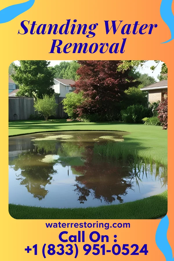 Standing Water Removal in Ranchitos Las Lomas, TX